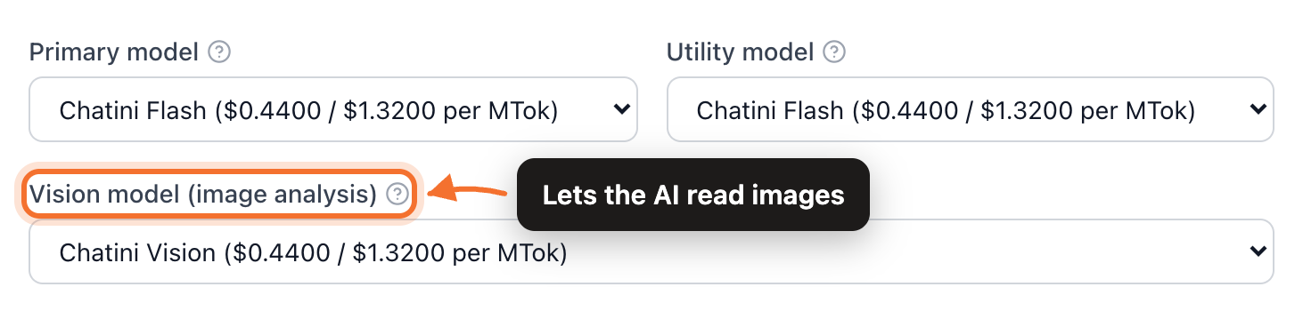 The project AI defaults: primary, utility and vision models