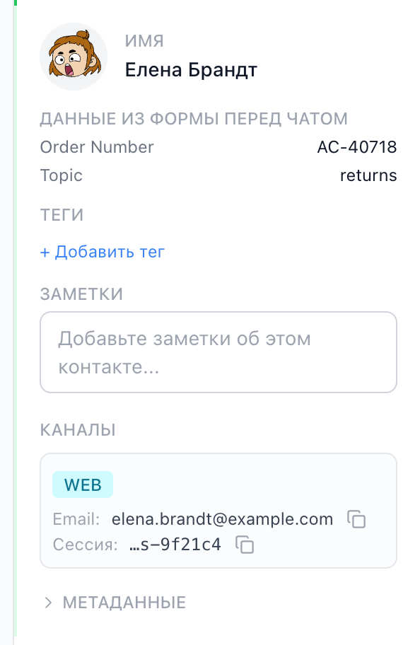 Раздел «Контакт» на информационной панели: имя, данные из формы перед чатом с номером заказа и темой и email в блоке «Каналы»