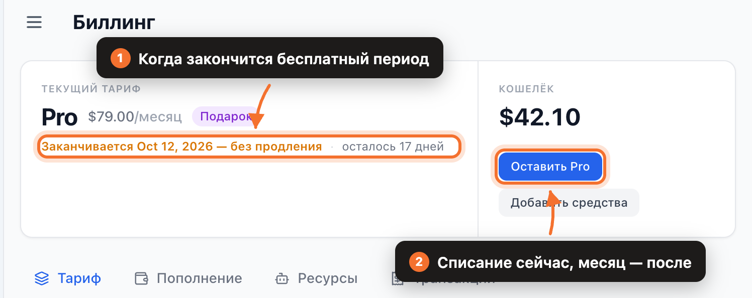 Шапка биллинга для подаренного тарифа: метка «Подарок», дата окончания и кнопка «Оставить Pro»