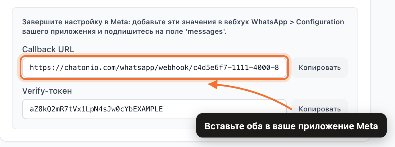 Callback URL и Verify-токен, которые Chatonio показывает после подключения, для вставки в Meta