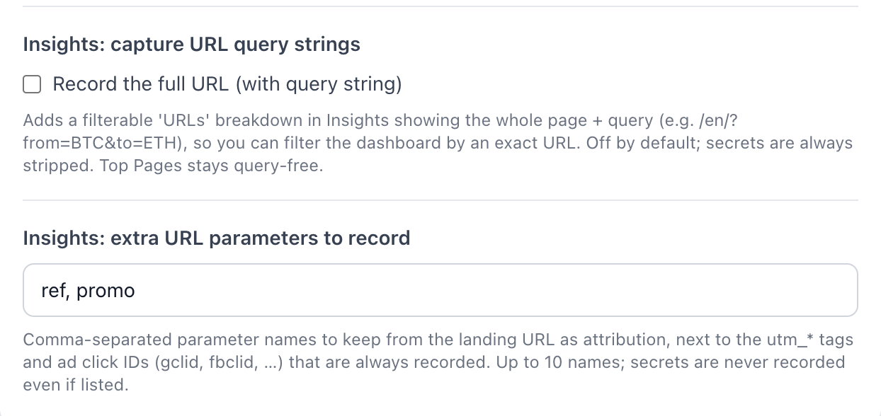 The two Insights options in URLs and domains, Advanced settings: record the full URL, and extra URL parameters to record