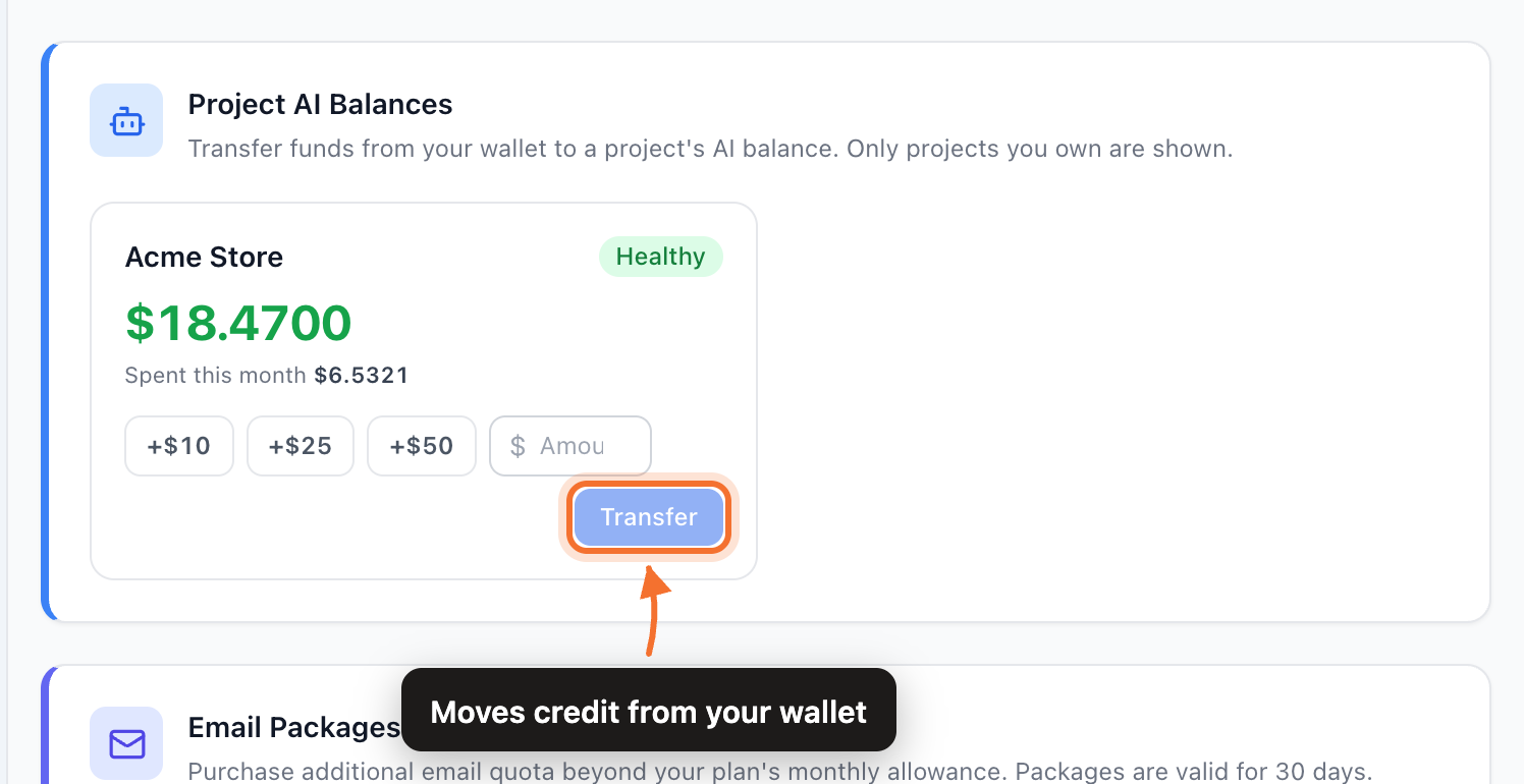 The Project AI Balances card on the Resources tab, with the remaining credit, the spend this month, and the Transfer button