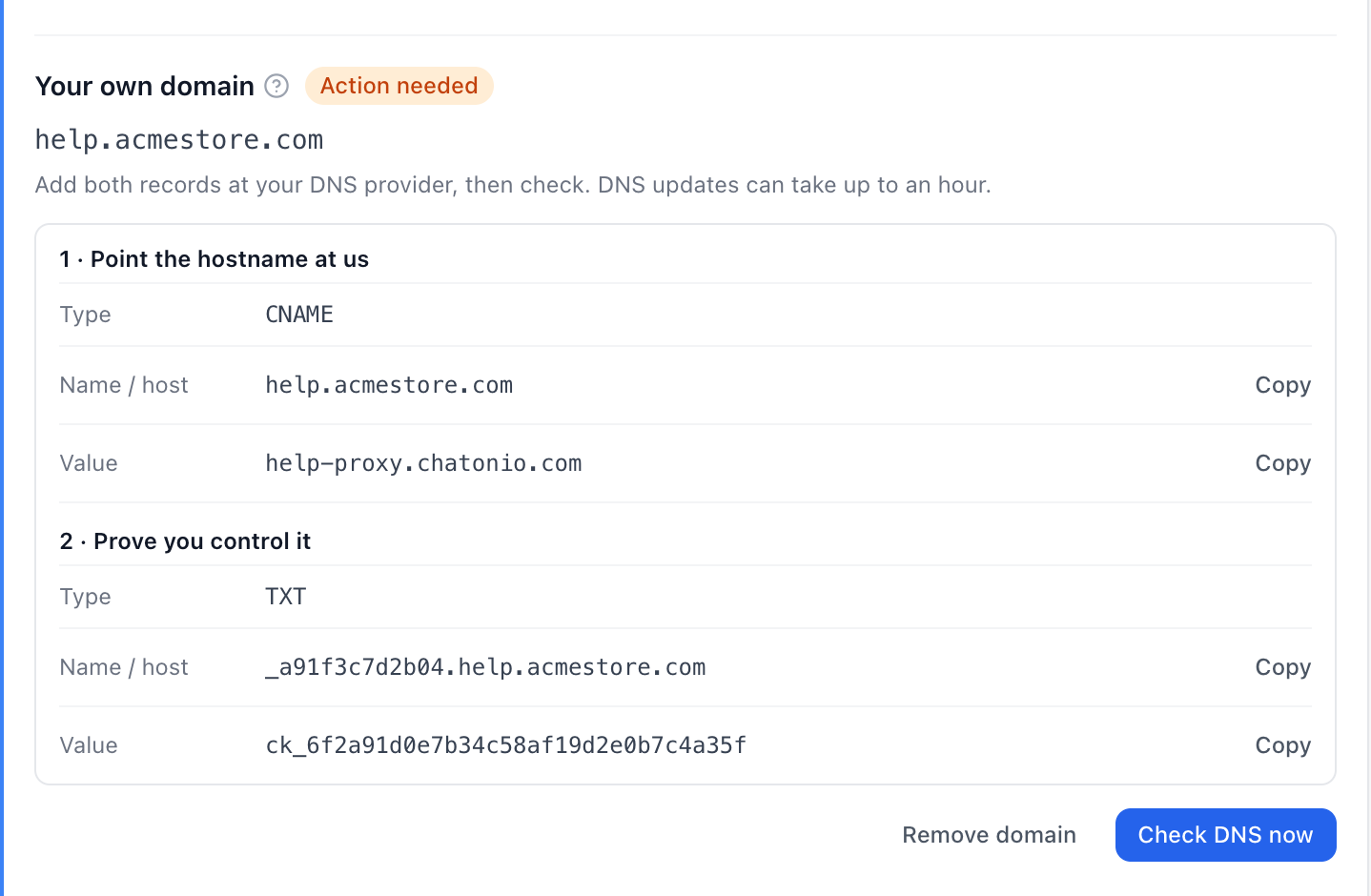 The two DNS records to create — a CNAME and a TXT — each with a copy button, and the Check DNS now button