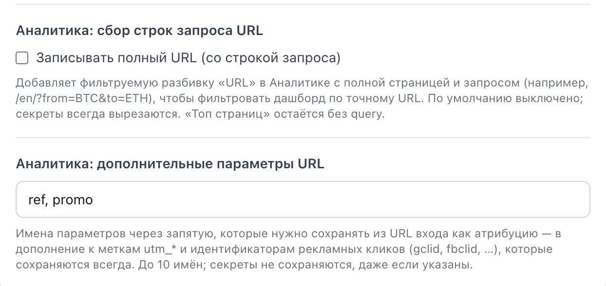 Две настройки «Аналитики» в разделе «URL и домены», «Дополнительные настройки»: запись полного URL и дополнительные параметры URL