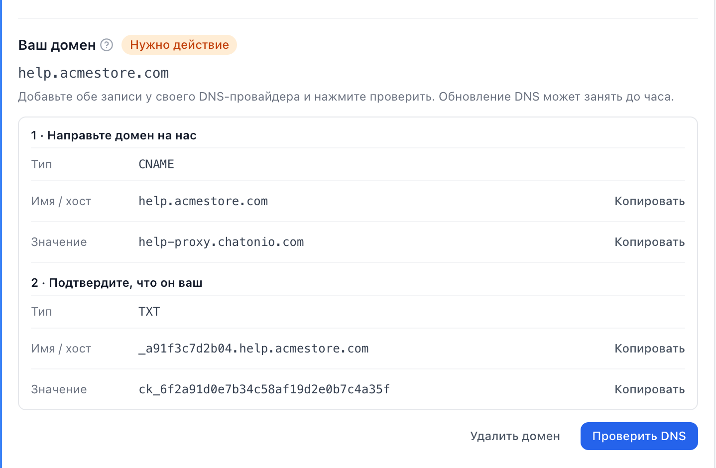 Две DNS-записи, которые нужно создать — CNAME и TXT — с кнопками копирования и кнопкой «Проверить DNS»